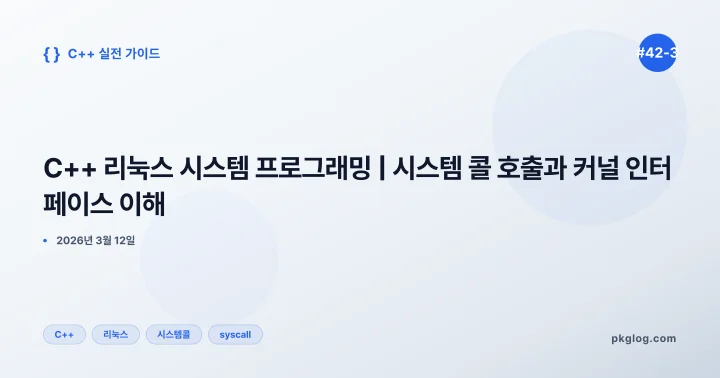 C++ 리눅스 시스템 프로그래밍 | 시스템 콜 호출과 커널 인터페이스 이해 [#42-3]